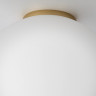 Накладной светильник Citilux CL941D25B2