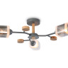 Люстра на штанге Ambrella Light TR3033231