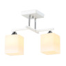 Накладной светильник Ambrella Light TR303111