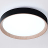 Накладной светильник Ambrella Light FZ1324