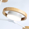 Люстра на штанге Ambrella Light FL51609