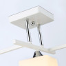 Накладной светильник Ambrella Light TR303113