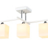 Накладной светильник Ambrella Light TR303113