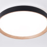 Накладной светильник Ambrella Light FZ1326