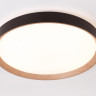 Накладной светильник Ambrella Light FZ1326