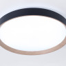 Накладной светильник Ambrella Light FZ1326