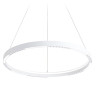Подвесной светильник Ambrella Light FL5851