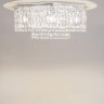Накладная люстра Maytoni DIA005CL-10CH
