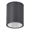 Накладной уличный светильник ST-Luce SL9514.712.01