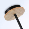 Люстра на штанге Ambrella Light FL51619