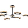 Люстра на штанге Ambrella Light FL51619