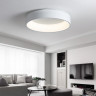 Накладной светильник ImperiumLoft 102137-26