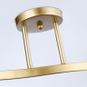 Накладной светильник Ambrella Light TR303119