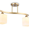 Накладной светильник Ambrella Light TR303119
