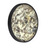Бра Odeon Light 5064/40L