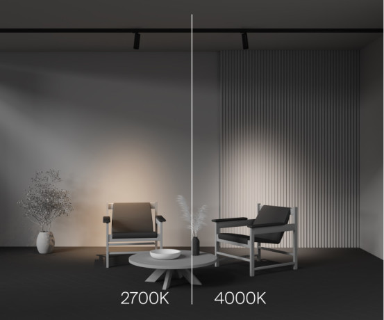 Светильник на шине Maytoni Technical TR198-3-20W2.7K-Z-B