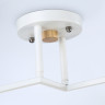 Накладной светильник Ambrella Light TR9484