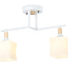 Накладной светильник Ambrella Light TR9484