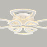 Накладной светильник Ambrella Light FA8863