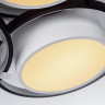Накладная люстра Escada 10243/6LED