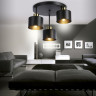 Накладной светильник Ambrella Light TR8121