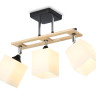Накладной светильник Ambrella Light TR9507