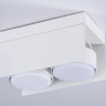 Накладной светильник Ambrella Light TN70845