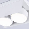Накладной светильник Ambrella Light TN70845