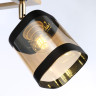 Накладной светильник Ambrella Light TR9525