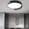 Накладной светильник ImperiumLoft 223829-23