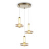 Подвесной светильник Ambrella Light LH31011