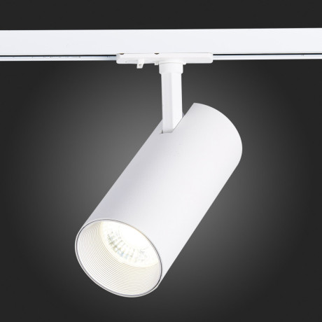 Светильник на шине ST-Luce ST350.536.30.36