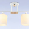 Накладной светильник Ambrella Light TR9541