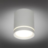 Накладной светильник Omnilux OML-102429-05
