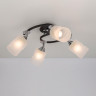 Спот Citilux CL119241
