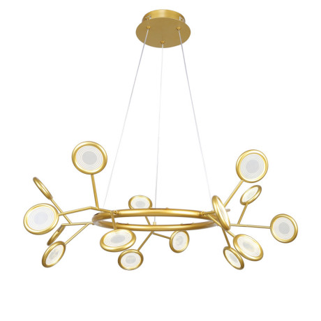 Подвесная люстра F-Promo 4253-15P