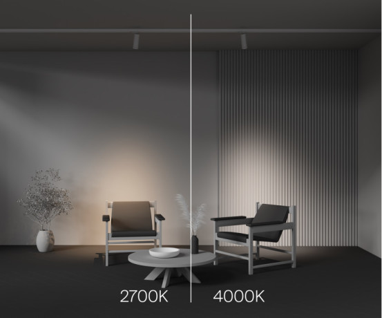 Светильник на шине Maytoni Technical TR198-3-20W2.7K-Z-W