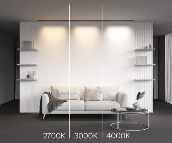 Светильник на шине Maytoni Technical TR190-1-10W2.7K-B