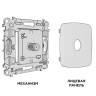 Розетка Ambrella Volt MO213050