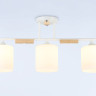 Накладной светильник Ambrella Light TR9546