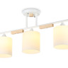 Накладной светильник Ambrella Light TR9546