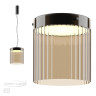 Подвесной светильник Odeon Light 5047/20L