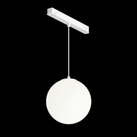 Светильник на шине Maytoni Technical TR039-4-5W3K-WW-DS-W