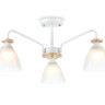 Накладной светильник Ambrella Light TR9562