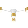 Накладной светильник Ambrella Light FL51720