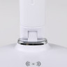 Настольная лампа Ambrella Light DE520