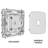 Розетка Ambrella Volt MO313005