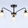 Накладной светильник Ambrella Light TR9564