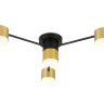 Накладной светильник Ambrella Light FL51722