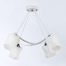 Подвесная люстра Ambrella Light TR303156